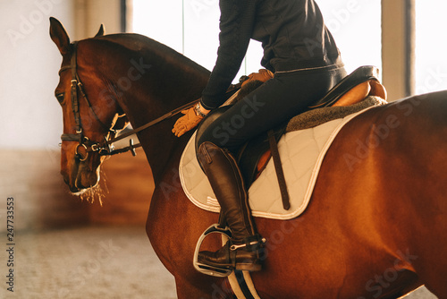 Tableau sur toile equestrian horse training