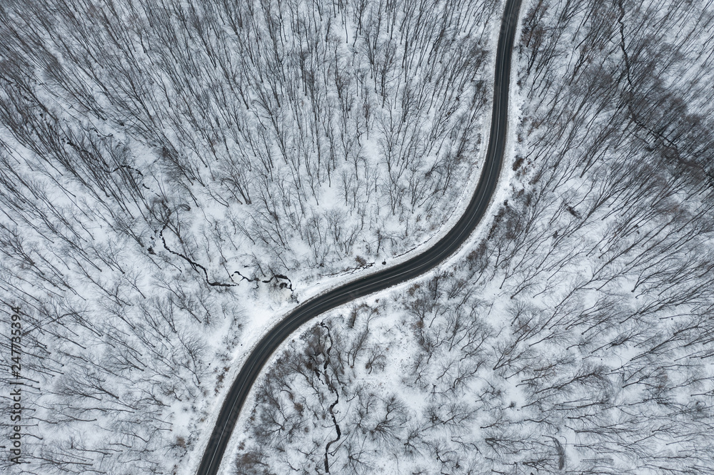 Aerial view of winter forest road