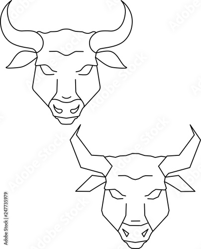 Bull with horns