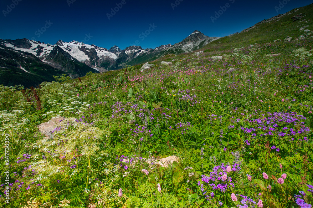 Beautiful view of alpine meadows in the Caucasus mountains.