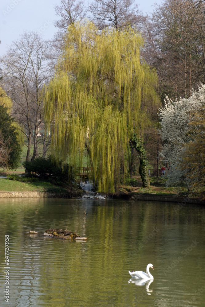 Fototapeta premium Beautiful spring landscape