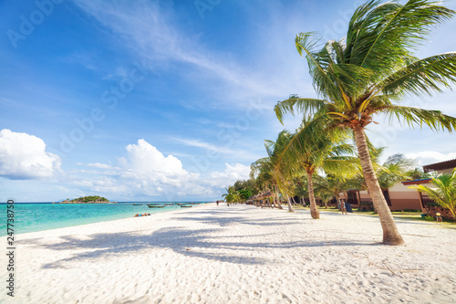 Empty sunny Koh Lipe Beach with tall palms and beach bungalows