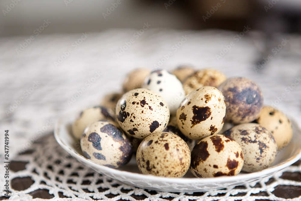 Fototapeta premium Fresh quail eggs