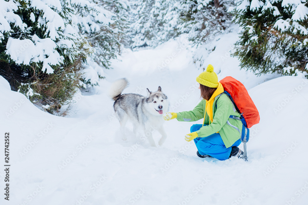 Young beautiful woman traveler playing wih her dog in snow winter day. Funny dog running. Healthy lifestyle adventure, camping, hiking trip concept.