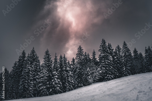 Red sunset over the freezing winter forest seen in the Mythen Region, Switzerland