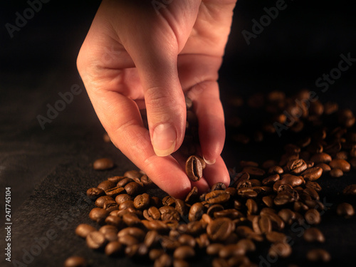 Female hands cupped holding coffee beans