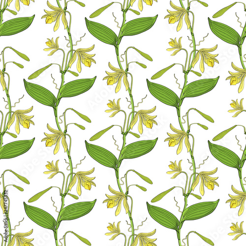 seamless floral pattern with orchid flowers on white