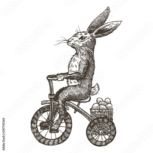 Hand drawn bunny riding tricycle with Easter eggs, vector