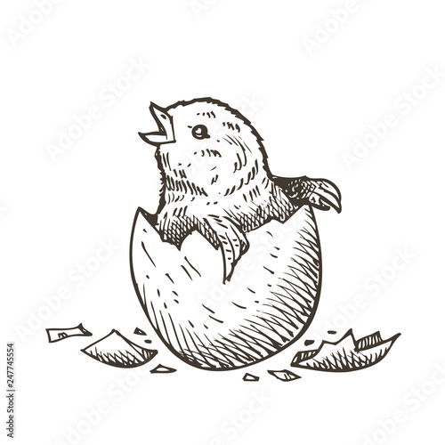 Hand drawn Easter egg, vector