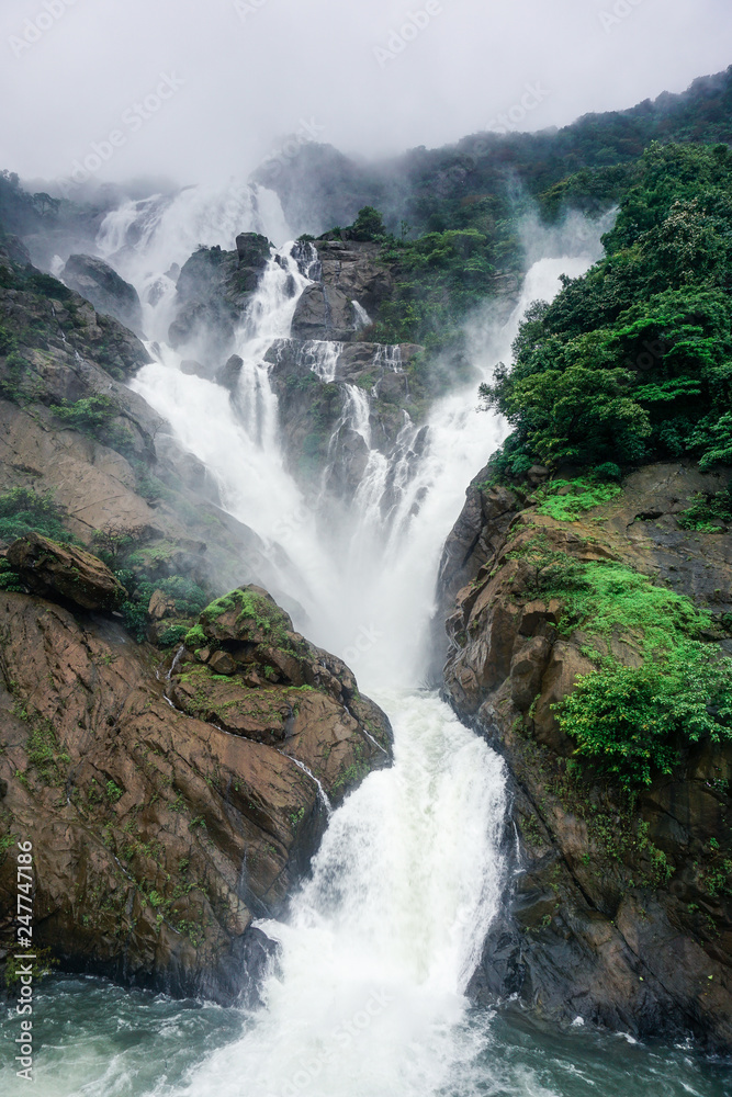 Fototapeta premium The huge waterfall Dudsagar in the wild jungle. Karnataka, India