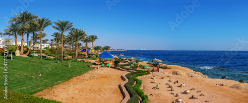 Fototapeta Naklejka Na Ścianę i Meble -  coastline in Sharm El Sheikh