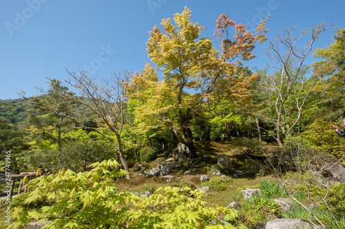 Beautiful Japanese Zen Garden Ktoyo Japan