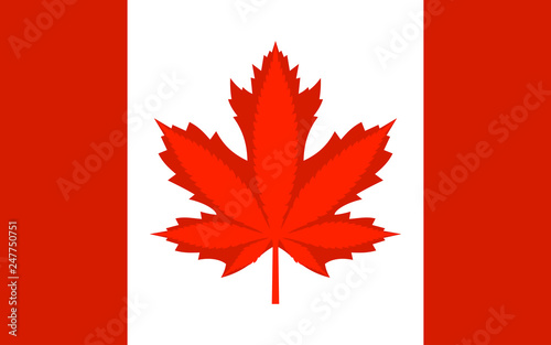 Legalization Cannabis Hemp on Canada Flag. Vector