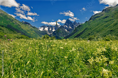 Beautiful view of alpine meadows in the Caucasus mountains.