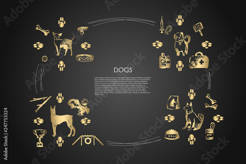 Dogs - different dog breeds with food, bones, collar, footprints, bowl, vet objects vector concept set