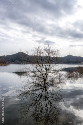 Geumpyeong Reservoir Park photo