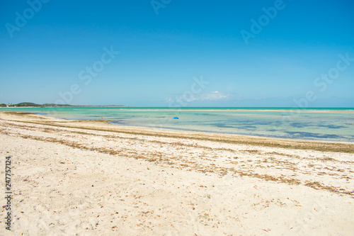 A view of Praia do Sossego  Sossego beach  on Itamaraca island  Pernambuco  Brazil 