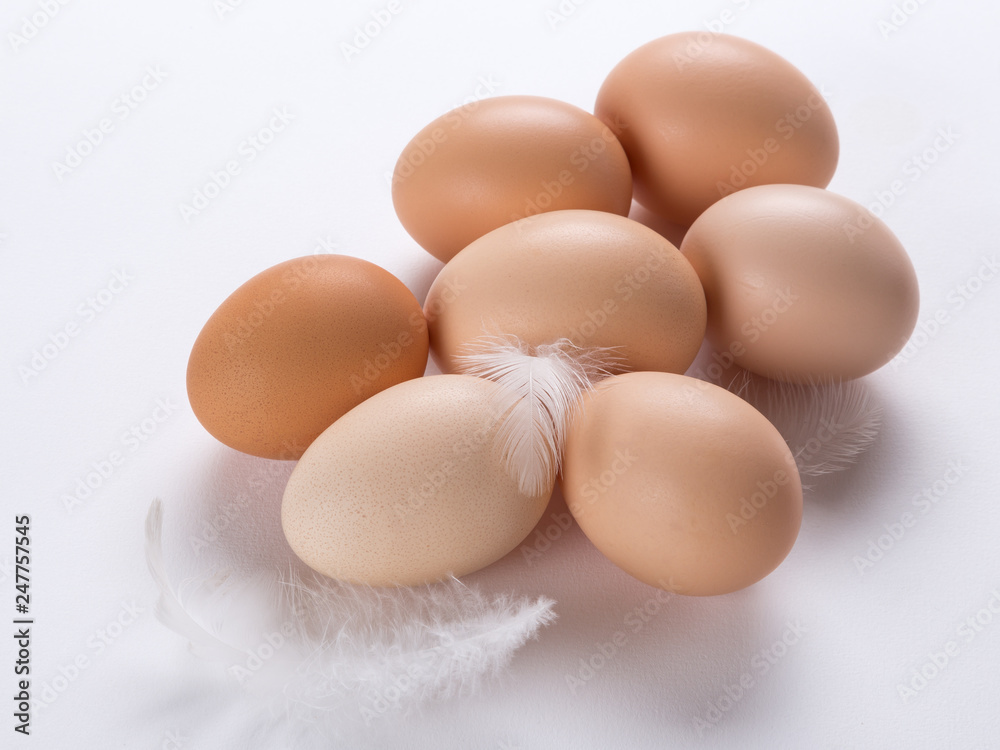 fresh farm chicken eggs with white feathers on white background fresh farm chicken eggs with white feathers on white background