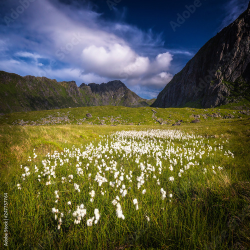 Eggum area in Lofoten islands, nnorthern Norway. photo