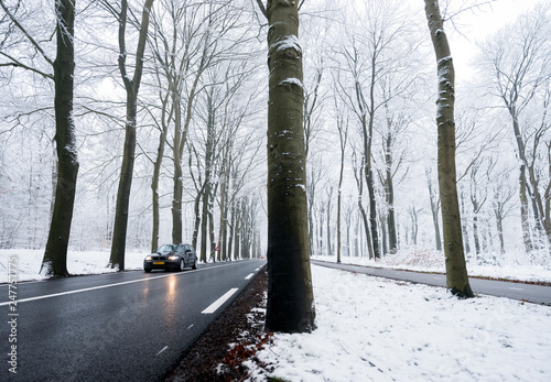 car on tarmac road through snow forest in dutch winter near austerlitz and utrecht in holland photo