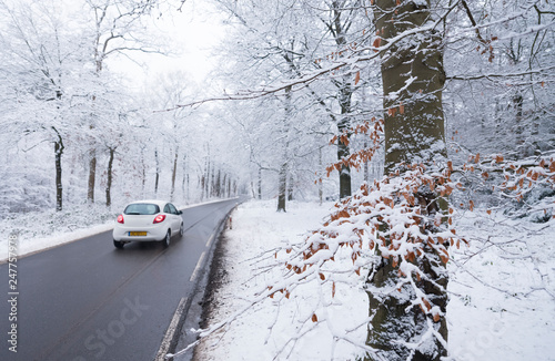 car on tarmac road through snow forest in dutch winter near austerlitz and utrecht in holland photo