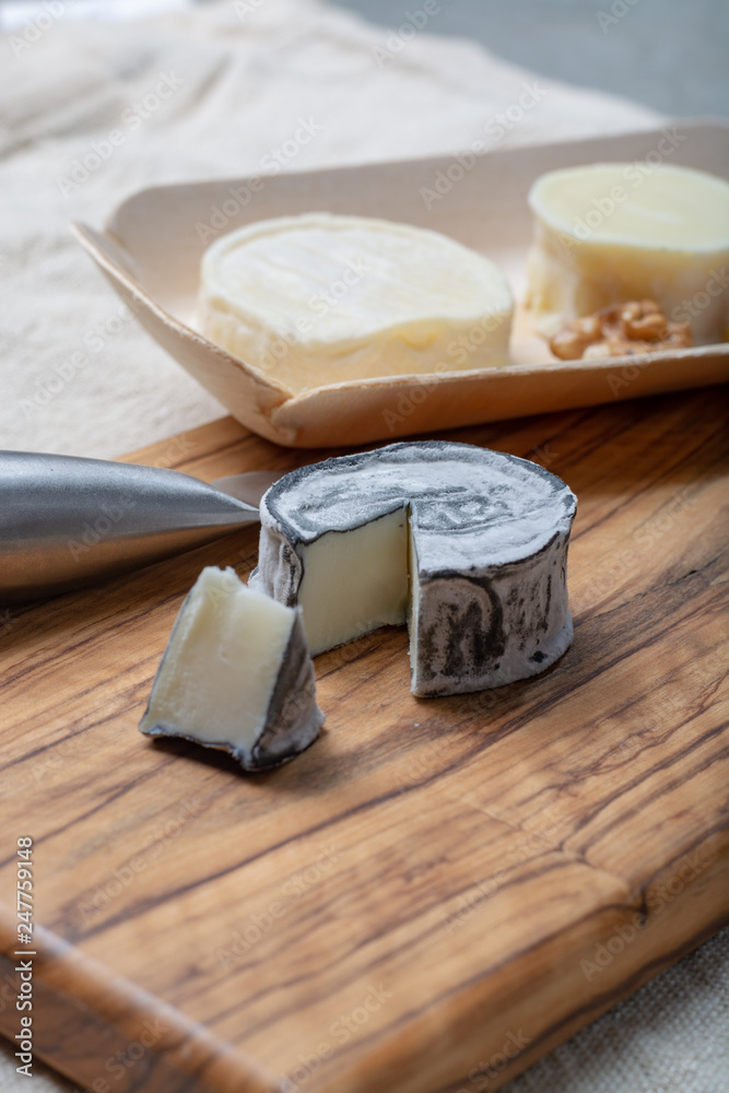 Assortment of French soft goat cheeses, Chevre Cendre, Cabecou Du