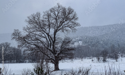 Snow