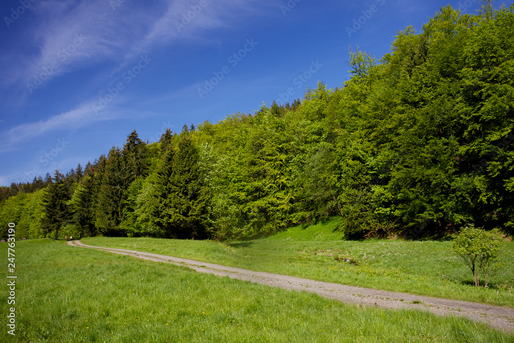 kleiner Bach im Apfelstädter Grund bei Tambach-Dietharz im Thüringer Wald