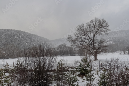 Snow