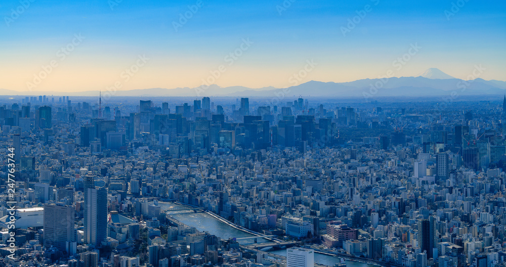 スカイツリーからの都市風景 スカイツリーからの都市風景