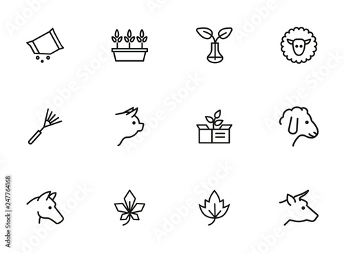 Household and nature icons