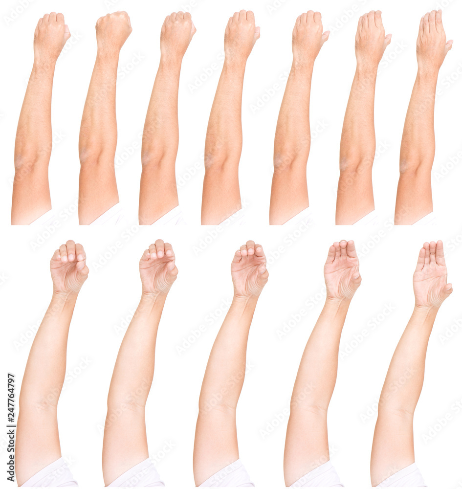 Multiple male hand gestures isolated over the white background, set of multiple images Multiple male hand gestures isolated over the white background, set of multiple images