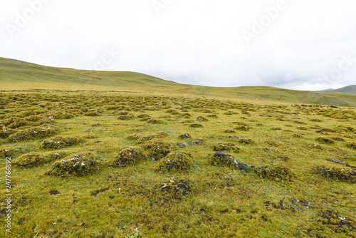 Scene of a mountain top grass field at the altitude of 4300m in Litang, Ganzi, Sichuan, China photo