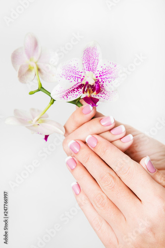 Beautiful french white and pink manicure. Woman holding beautiful orchid flowers in her hands isolated on white background. Horizontal color photography.