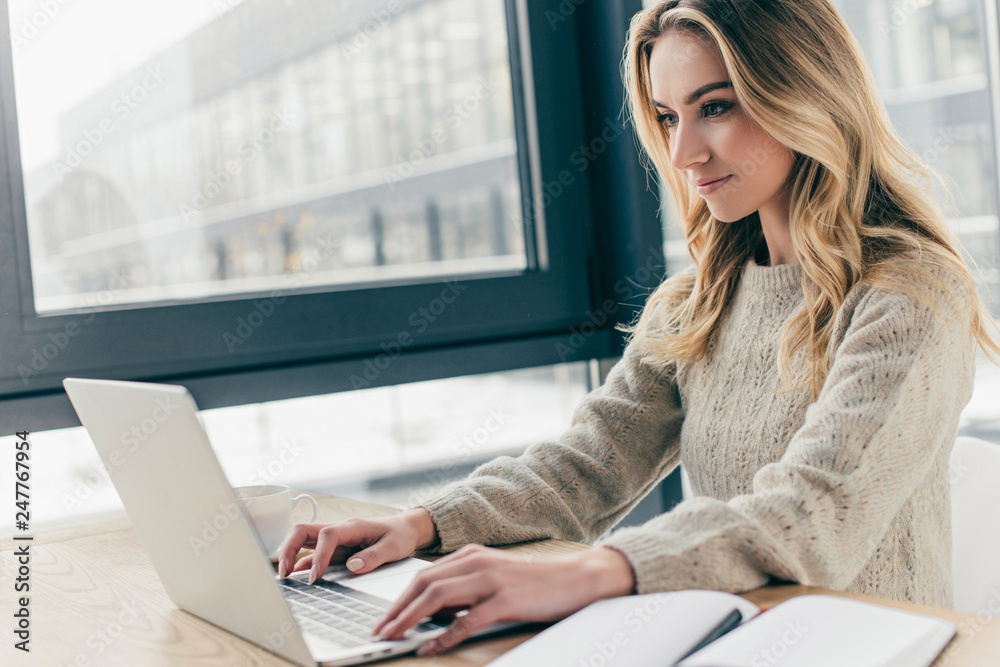 beautiful woman using laptop while sitting at home beautiful woman using laptop while sitting at home