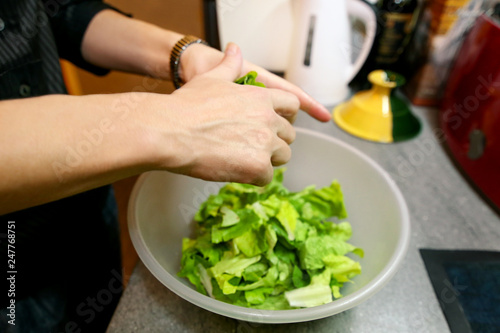 Close up of female hands and woman preparing green salad, cooking in kitchen. Housewife slicing and prepared fresh salad. Chef cutting greens in plastic bowl. Vegetarian and healthy cooking concept.