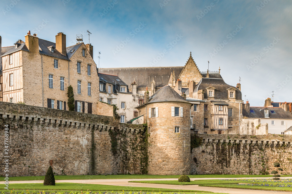 Castle in France