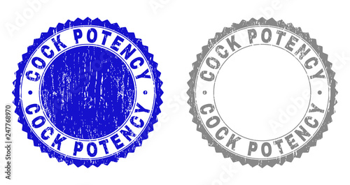 Grunge COCK POTENCY stamp seals isolated on a white background. Rosette seals with grunge texture in blue and gray colors. Vector rubber stamp imprint of COCK POTENCY tag inside round rosette.