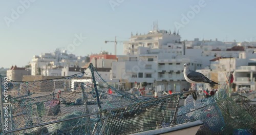 The seagull sits on fishing tackles, a fishing net, the remains of fish, a beach, fishing boats, against fishing lodges photo