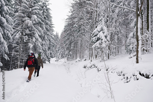Couple hiking along a snow covered forest trail in winter