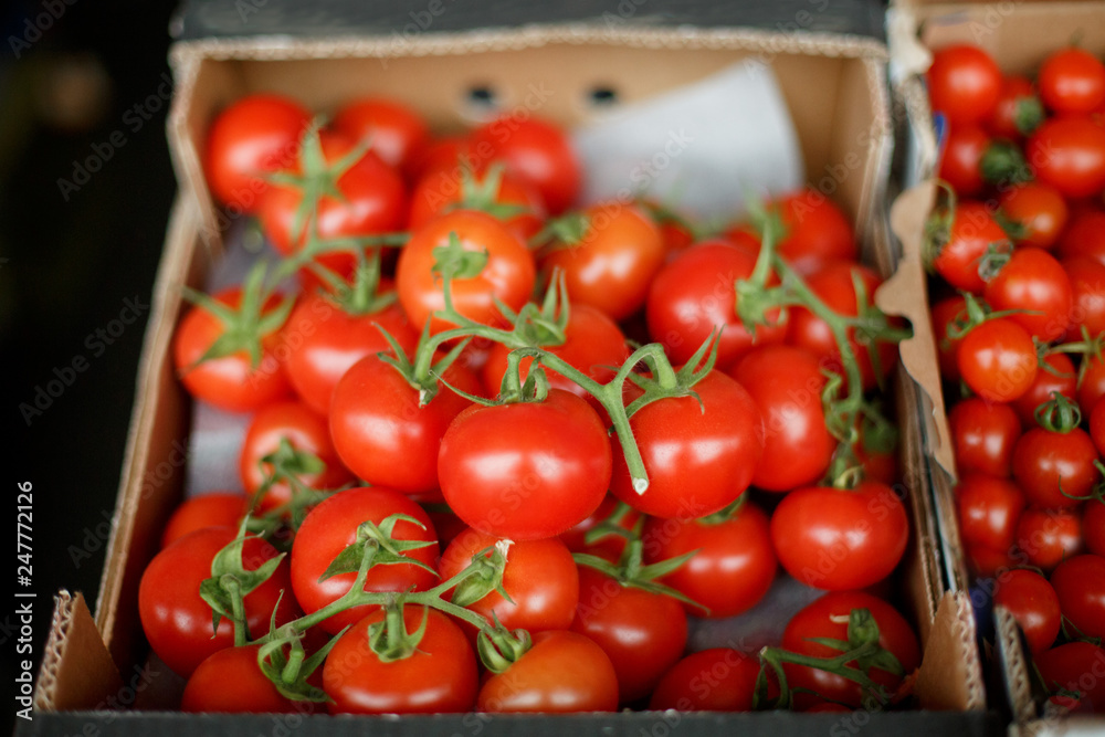 fresh tomatoes in a box fresh tomatoes in a box