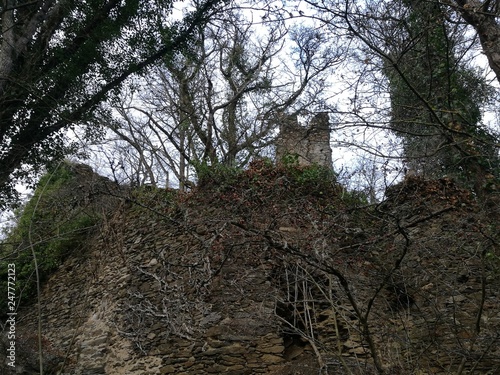 Mittelalter pur - die unberührte Burg Rodenstein im Wispertal Taunus photo