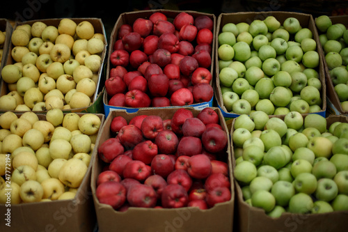 red, white and green apples in market boxes