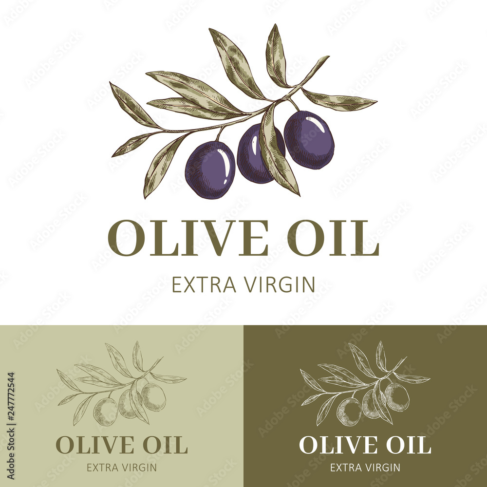 Olive oil logo template