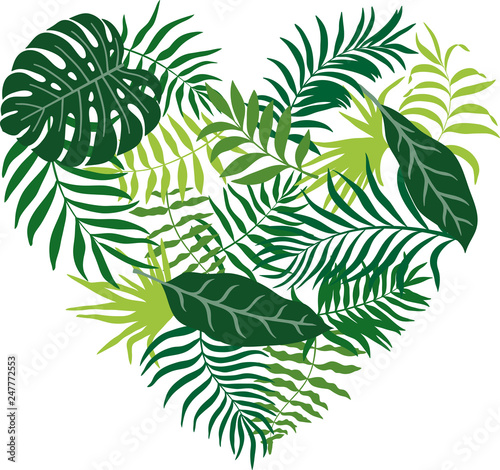 Vector illustration with tropical leaves drawn in the shape of a heart. Without background