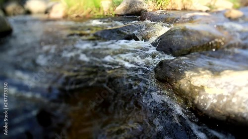 Forest fresh water creek flows among rocks and mossy stones in wild forest. Travel and adventure landscape nature background in Janakkala, Finland photo