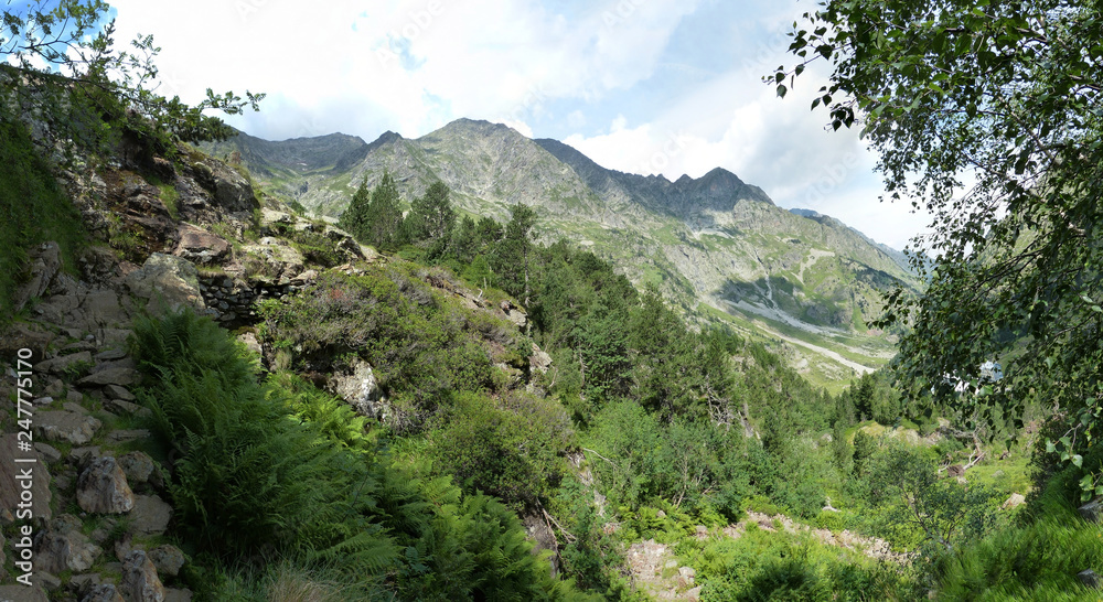 Obraz premium en allant vers Pouchergues