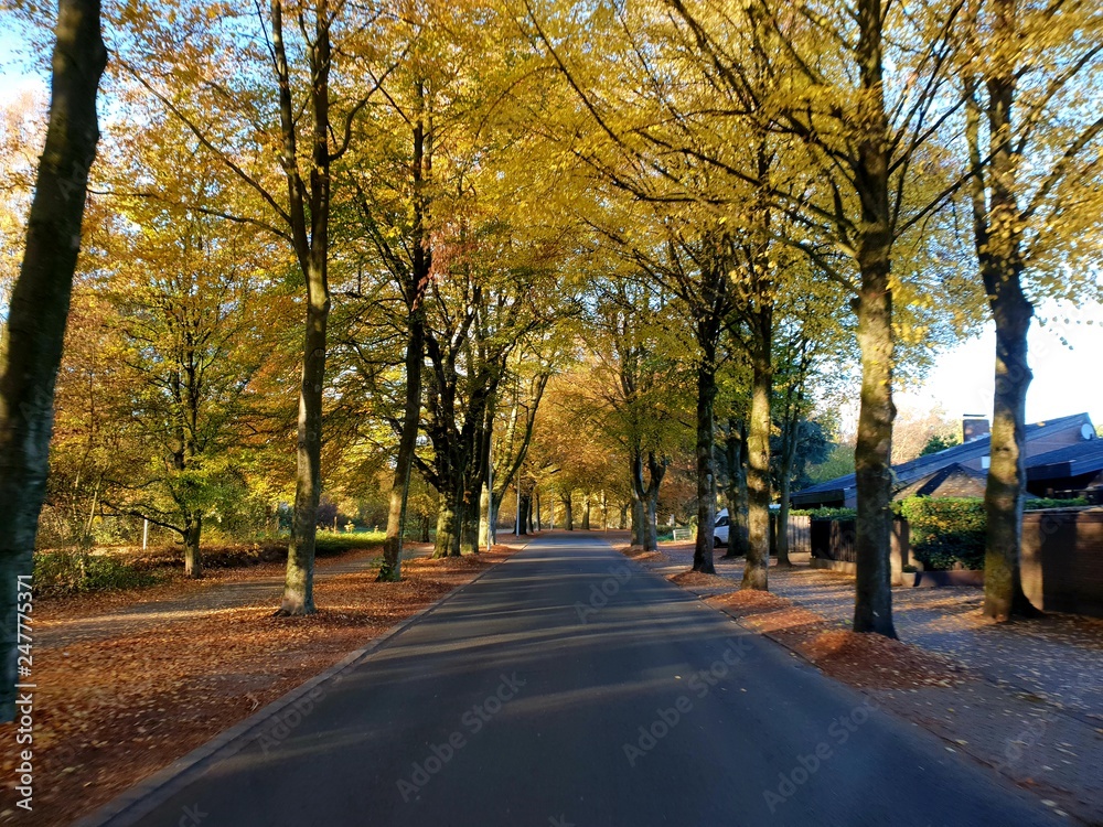 Obraz premium Herbst