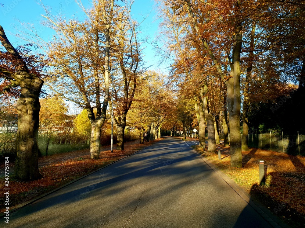 Fototapeta premium Herbst 