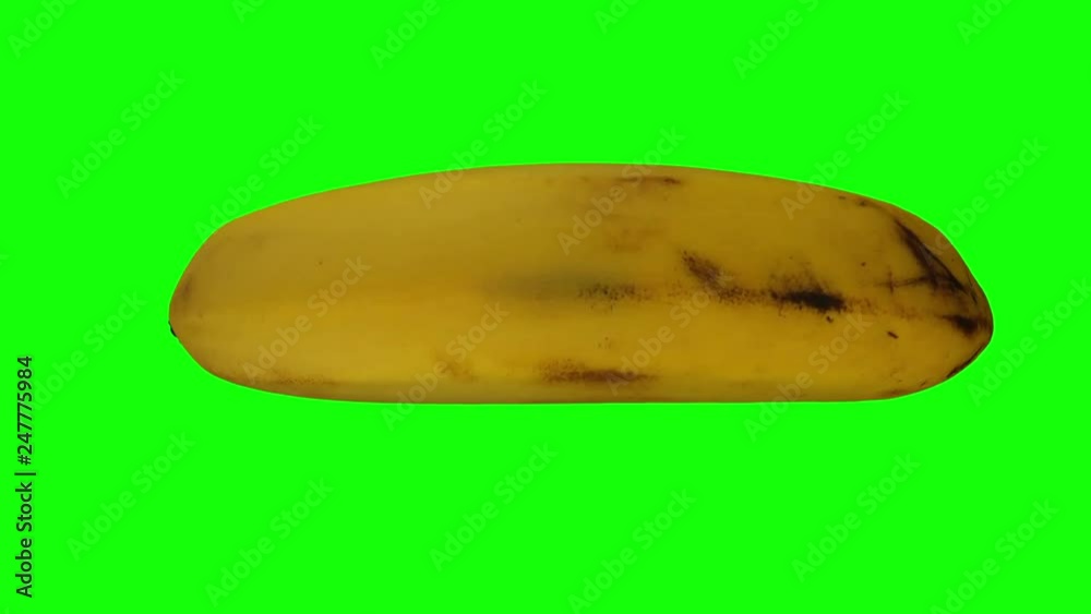 Realistic render of a rotating banana (Cavendish variety) on green background. The video is seamlessly looping, and the object is 3D scanned from a real banana.